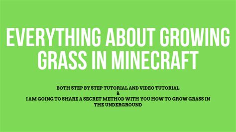 However if you want to plant some along with some flowers you can use bonemeal on some dirt/grass and it will grow. How to Make Grass Grow in Minecraft Easy Tutorial + in the underground