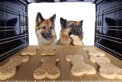 For each product, we've written a detailed review, comparing price, flavoring, ingredients, caloric content, and texture so you can confidently choose. Homemade Low Fat Dog Treats Perfect For National Pet Day