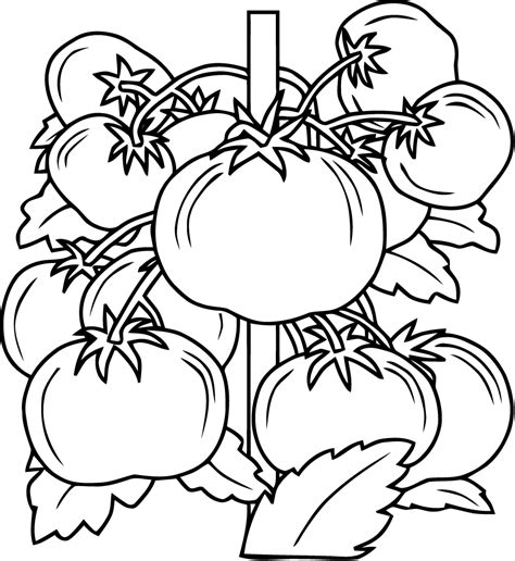 Children will color various fruit and vegetable pictures and trace their names, too. Fruits and vegetables to download - Fruits And Vegetables ...