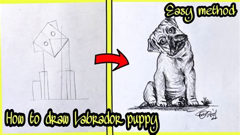 Lesson 11* *fill in the blanks on the note page. How to draw Labrador puppy|easy method drawing|s likes ...