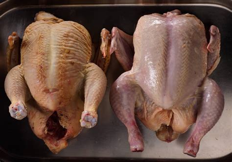 How do you know if raw chicken is bad. 6 Ways to tell if chicken is bad