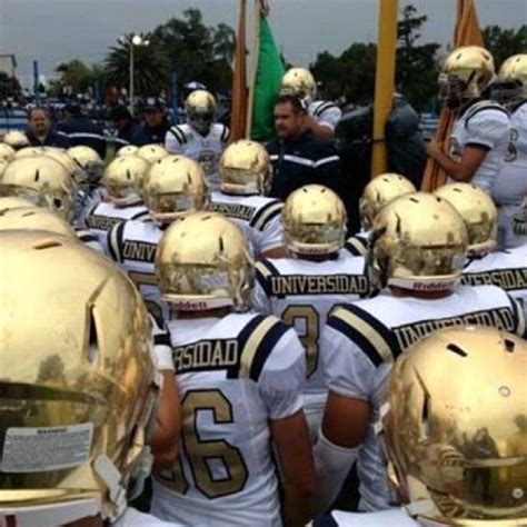 El club universidad nacional a. Pumas CU liga mayor 2013 | Pumas, Pumas unam, Puma futbol