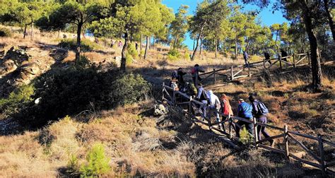 Λόγω των φονικών πυρκαγιών στην αττική οι πυροσβεστικής δυνάμεις σε όλη την επικράτεια παραμένουν σε ετοιμότητα. ΘΕΣΣΑΛΟΝΙΚΗ: ΠΕΖΟΠΟΡΙΑ ΣΤΟ ΣΕΙΧ ΣΟΥ - GREEN OLIVER