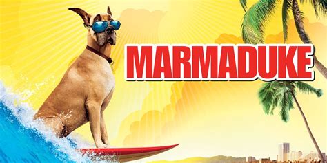 Canlı tv izle, full kesintisiz yayın izlemek için web sitemizi ziyaret edebilirsiniz. Netflix Öneriyor: Dünya Köpek Günü'ne Özel İçerik ...