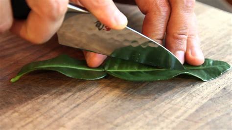 Cara betul simpan daun sup dan halia agar tahan lama. Cara Simpan & Kegunaan Daun Limau Purut Dalam Masakan. - RASA