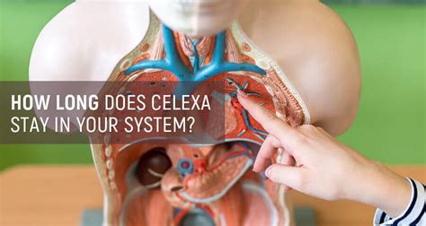 How does celexa show up in a drug test? Celexa Half Life: How Long Does It Stay In System?