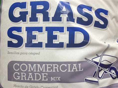 Trueleafmarket.com has been visited by 10k+ users in the past month Should You Over-Seed Your Lawn In The Winter With Rye Grass? - Father and Son Pest and Lawn ...