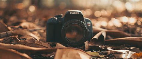 Check spelling or type a new query. 5 Best Canon Cameras For Intermediate Photographers
