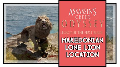 The makedonian lion is not relatively powerful, and thus will be an easy kill. Assassin's Creed Odyssey Legacy of the First Blade ...