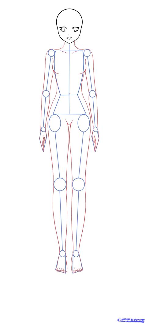 How to draw woman body. How to Draw Anime Bodies, Step by Step, Anime Females ...