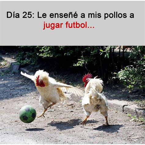 Los memes inundaron las redes y se compartieron videos virales. Aunque no lo crean es verdad XD en 2020 | Memes divertidos ...