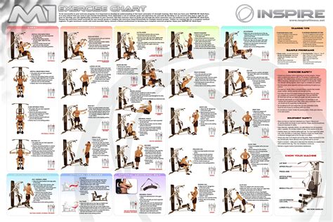 Image result for bowflex workout chart free download ...