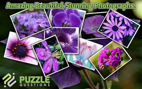 Free online jigsaw puzzle maker with daily puzzles and thousands pictures in the puzzle gallery. Amazon.com: Free Purple Flowers Jigsaw Puzzle Games ...