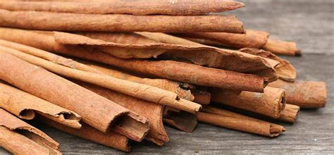 Zucchini is made up of 95% water, so while cooking water will drip out. Is cinnamon good for weight loss? | Healthsomeness