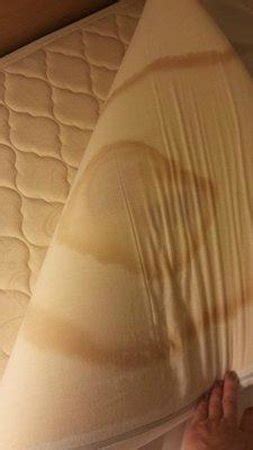 Bed bug on mattress may be annoying, but discarding the mattress does not solve the problem. Really worn out box springs - Picture of Rodeway Inn ...