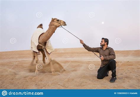 Why do you ask me? Man With His Camel In A Desert Editorial Stock Photo ...