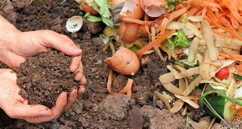 El uso de compost en el jardín o huerto mejora considerablemente las características del suelo, disminuyendo la necesidad de usar fertilizantes químicos, pesticidas y también ahorra bastante agua de riego. Residuos orgánicos para compost - Jávea.com | Xàbia.com