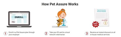 ✓ get a quote today! Best Pet Insurance for Cats 2020: Unbiased Review - We're All About Cats