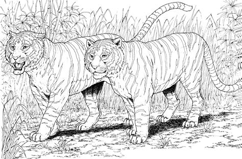 To print the coloring page: Tiger Animal Coloring Pages - Coloring Home