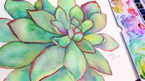 Maybe you would like to learn more about one of these? Watercolor Succulents! You can paint this! | Watercolor ...