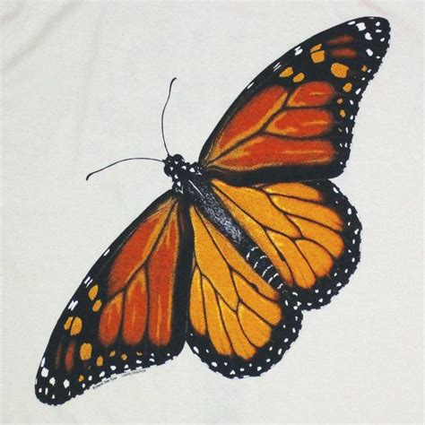 77 beautiful butterfly tattoos plus their meaning photos. Monarch Metamorphosis Adult T-shirt | Monarch butterflies ...