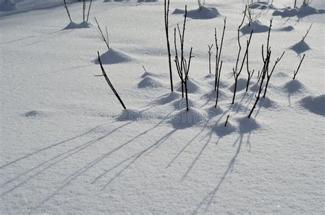Users rated the deep inside aurora snow videos as very hot with a 87.96% rating, porno video uploaded to main category: Deep Snow And High Trees With Aurora Borealis Dancing On ...