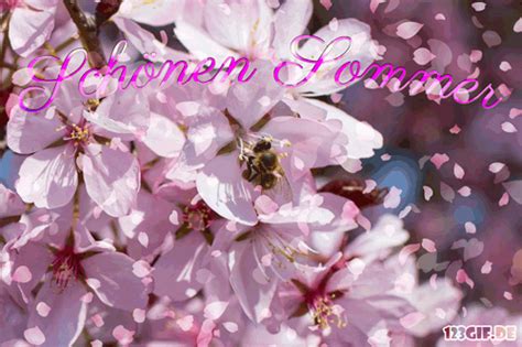 Frohe pfingsten foto & bild von sumsum5 ᐅ das foto jetzt kostenlos bei fotocommunity.de anschauen & bewerten. Kostenlose Sommer Bilder, Gifs, Grafiken, Cliparts ...