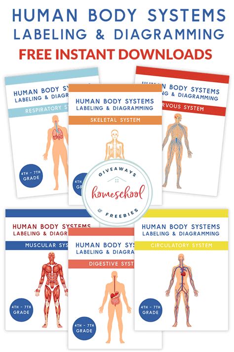 Get an inside view of the anatomy & biomechanics of movement. FREE Human Body Systems Labeling with Answer Sheets ...