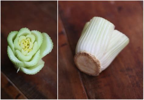 Learn how to grow celery using different methods. Growing Celery Indoors: Never Buy Celery Again | 17 Apart