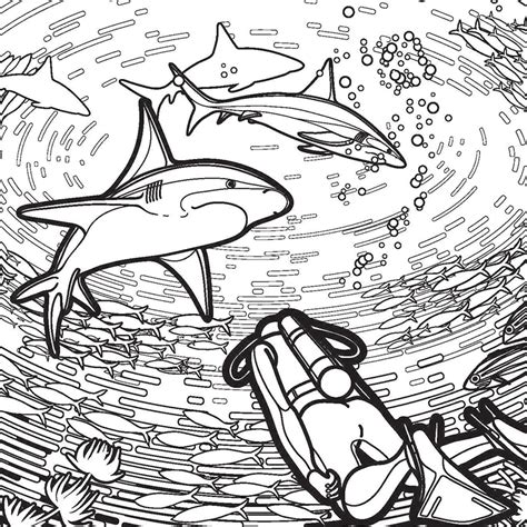 Did you know that there are over 465 species of shark in the world? Sharks And Diver Coloring Page - Free Printable Coloring ...