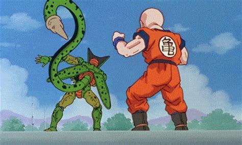 We did not find results for: Krillin gif 8 » GIF Images Download