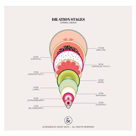 No wonder the picture has gone viral! Dilation of the Cervix :: Play by Play — MMW Womens Health