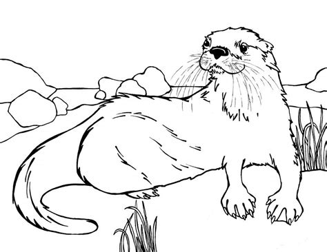 Download and print one of our otter coloring pages to keep little hands occupied at home; sea otter coloring pages - Google Search | Animal coloring ...