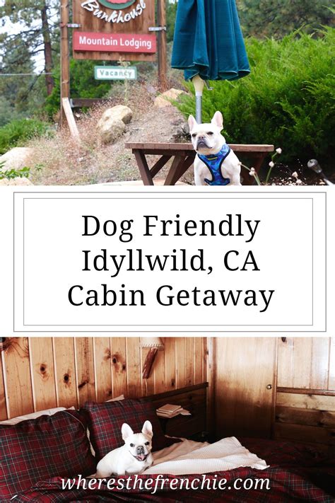 Escaping the hustle and bustle of southern california, idyllwild features stunning rustic wood cabins, typical to the area and its landscape. Idyllwild CA Getaway | Pet friendly hotels, Idyllwild ca ...