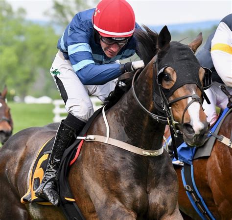 2021 concacaf gold cup groups. Accountable Wins $35,000 Virginia-Bred Flat Race At Great ...