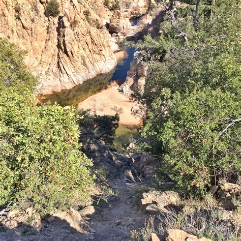 Cactus has waxy coating on their stems to retain water. Escape the City: Fly Fishing Deep Creek in Southern ...