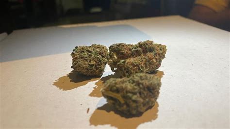 Item mais famoso do jogo está de volta em 2021, saiba como conseguir. MonterreyCannabis.com Venta de Marihuana a domicilio en ...