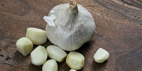 Fresh heads are hard and tight, while older bulbs will be soft and pliable. Does Garlic Go Bad?