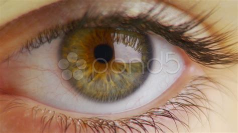 Close-up of woman's eye Stock Footage,#woman#Close#eye#Footage | Extreme close up, Close up 