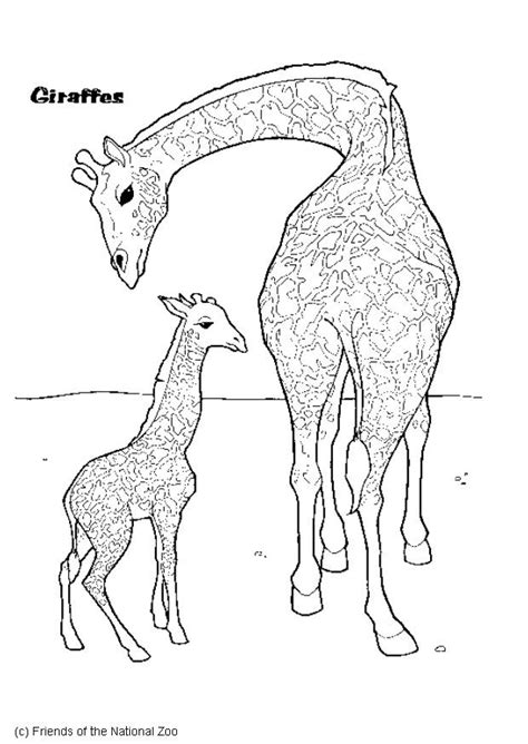 (10 minutes) tell students that they will be working with a partner to create a dance for a giraffe. Kids-n-fun.com | 45 coloring pages of Giraffe