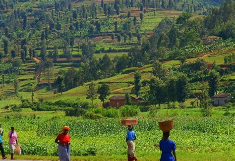 Its geography dominated by entertainment. 15 best Rwanda Landscape images on Pinterest | East africa ...