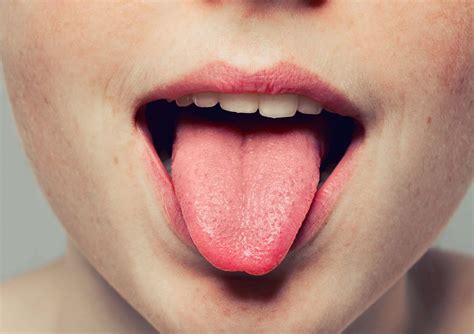 Lenf bezi nedir, lenf bezi ifadesini duymayan yoktur. Tükürük Bezi Enfeksiyonu Nedir? Tedavisi | Probiyotix
