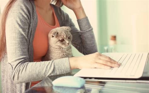 Loves pet hospital and all the humans that work to take care of them. The Price of Love: Is Pet Insurance Worth It? - Vet in ...