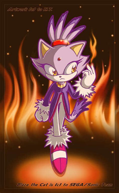 Maybe you would like to learn more about one of these? walkin in flames - Blaze the Cat Photo (14623786) - Fanpop