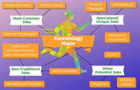 Find your next job or career on monster. 12 Jobs For Kinesiology Majors | Kinesiology major, Health ...