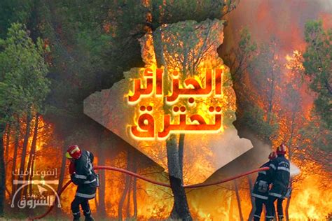 الرئيس تبون في حوار للجزيرة: Forest Blog: حرائق الغابات في الجزائر 2018