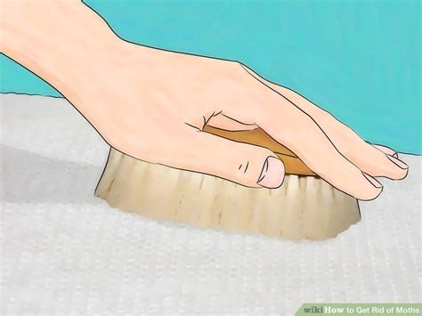 Check spelling or type a new query. 4 Ways to Get Rid of Moths - wikiHow