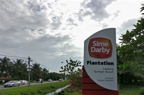 Sime darby plantation news call sime darby plantation at +60 378 484 000. Sime raises over RM3bil, monetisation plans under way