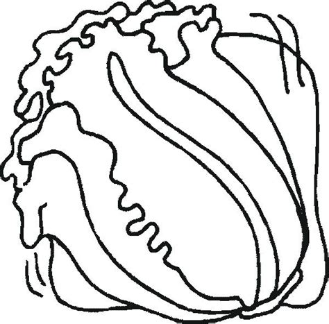 Head of iceburg lettuce coloring page. Lettuce Coloring Page at GetDrawings | Free download