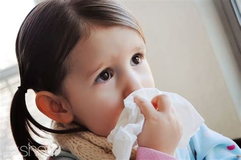 Ideally, the cold sore may be stopped in its tracks, so it never appears at all. Stop that cold in its tracks! How to stop a cold. | Stop a ...